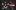 Four people dressed in 70s style glam rock outfits. Text overlays the image reading 'We will choir you!'